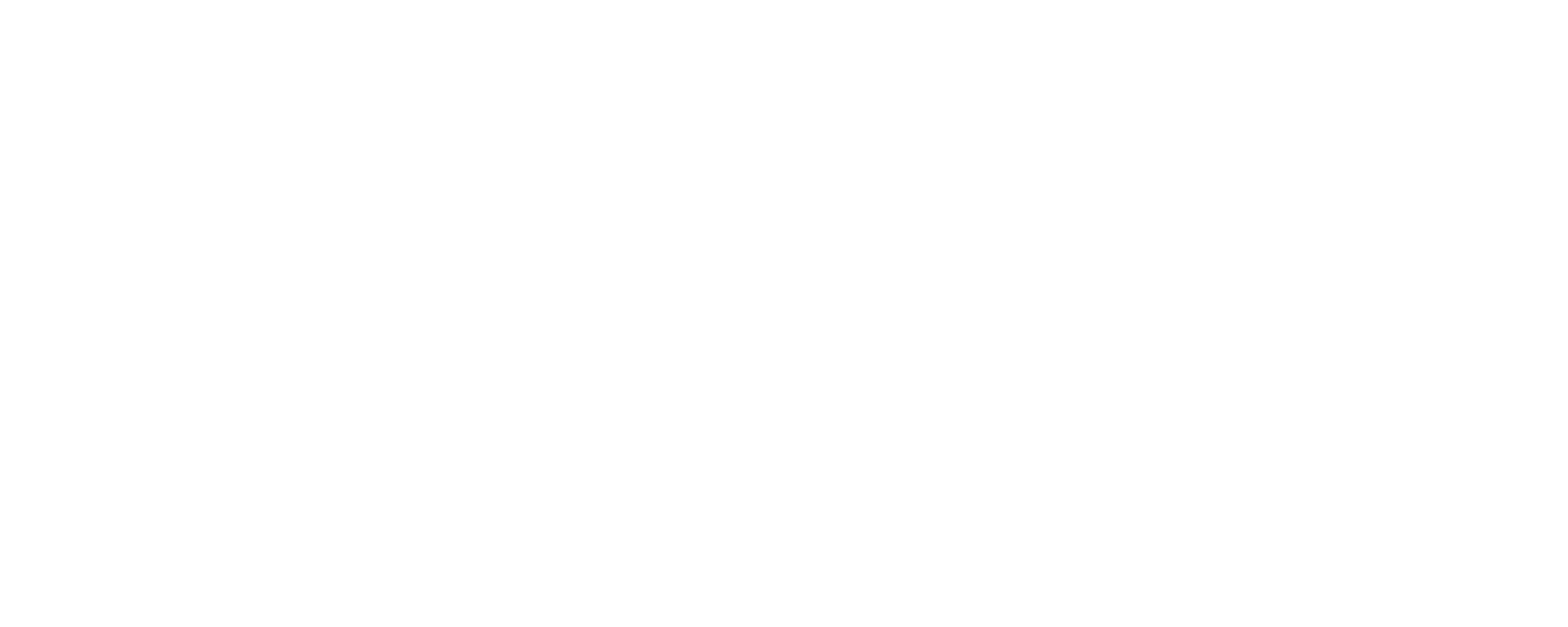 Logo 305 Detailing Miami